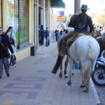 Cavalos em cima das calçadas foram constantes na manhã de ontem